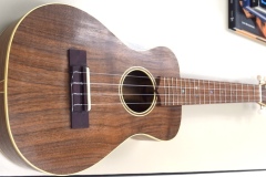 Mike-Z-Uke-2