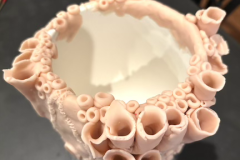 Clay-1