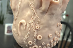 Clay-2