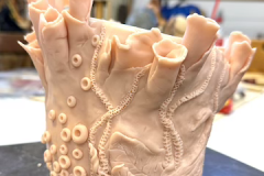 Clay-5