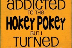 1_HokeyPokey