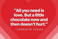 1_charles-m-schulz-funny-valentines-quote