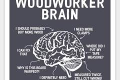Brain