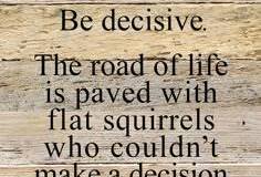 squirrels
