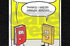 Appendix-removed.jpg