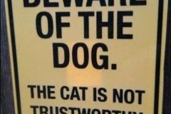 BewareDog.jpg