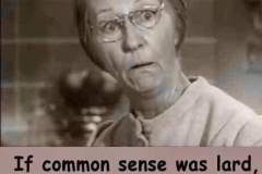 CommonSensee.jpg
