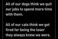 Dogs-n-Cats.jpg