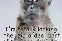DooDah.jpg