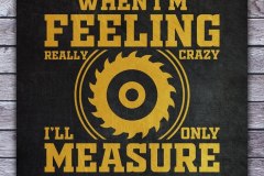 MeasureOnce.jpg