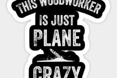 Plane-Crazy.jpg