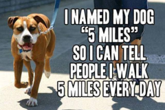 five_miles.png
