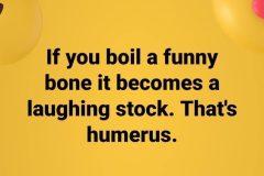 funny_bone.png
