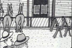 saw-horses.jpg