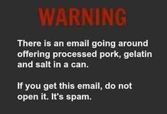 spam.jpg